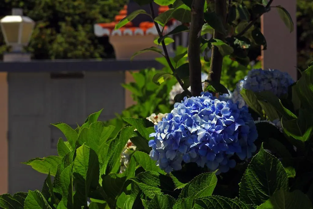 Casa Os Manos Guest House Santana  Country house Santana (Madeira)